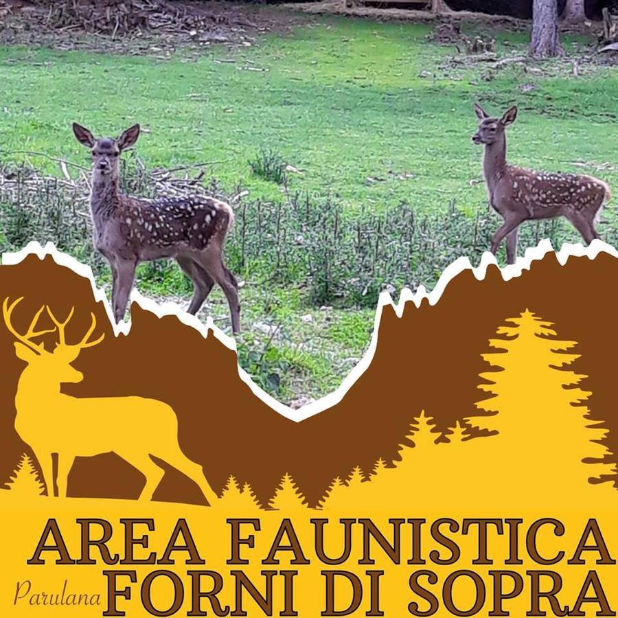 Albergo Meuble Tarandan Forni di Sopra Exterior foto