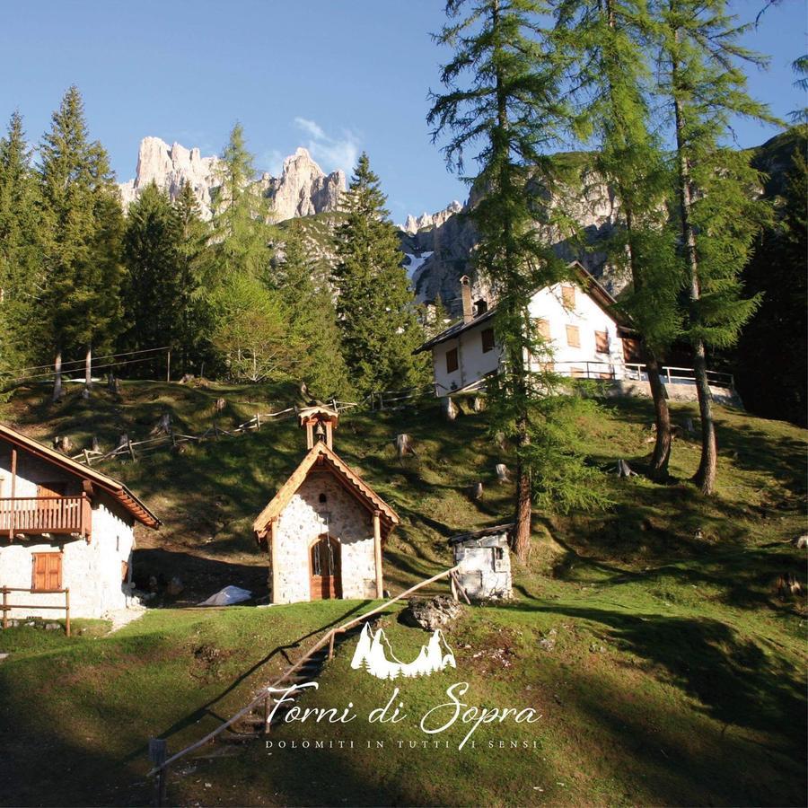 Albergo Meuble Tarandan Forni di Sopra Exterior foto